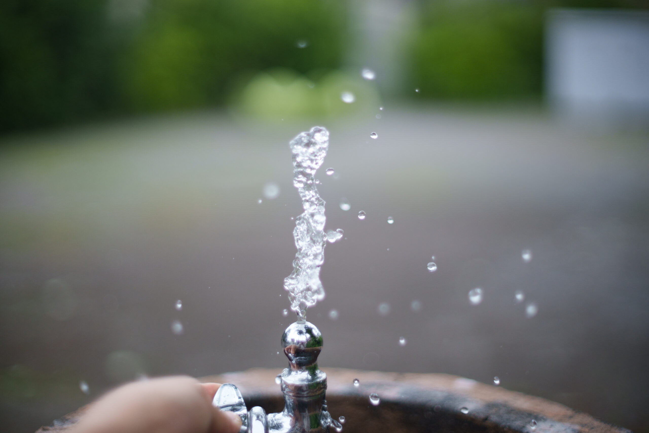地元の公園の水飲み場
