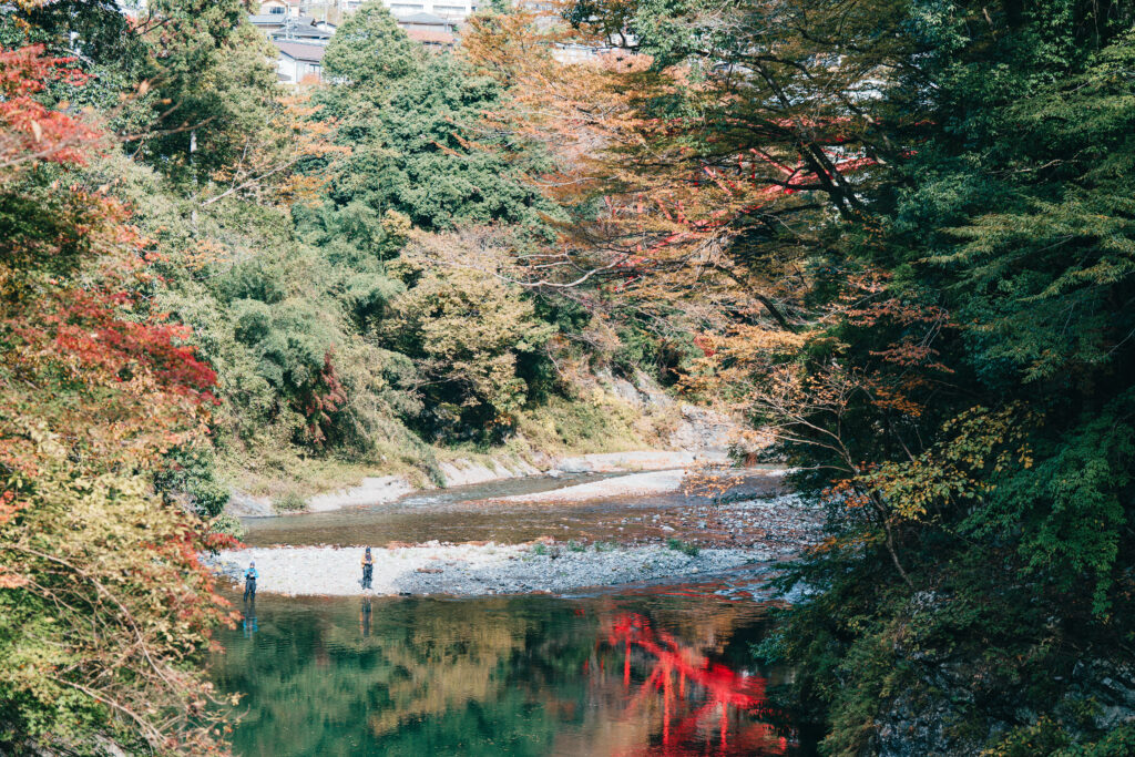 多摩川河川敷の様子