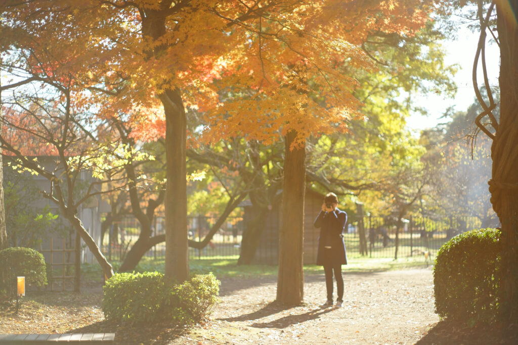 紅葉の中カメラを構える男性