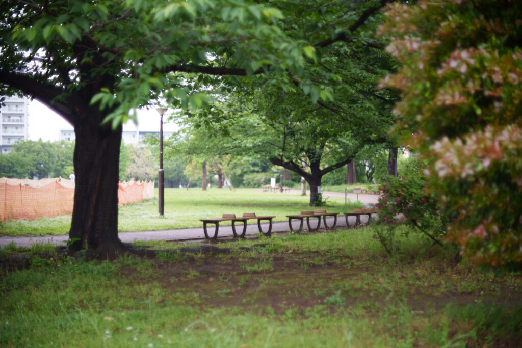 A park bench