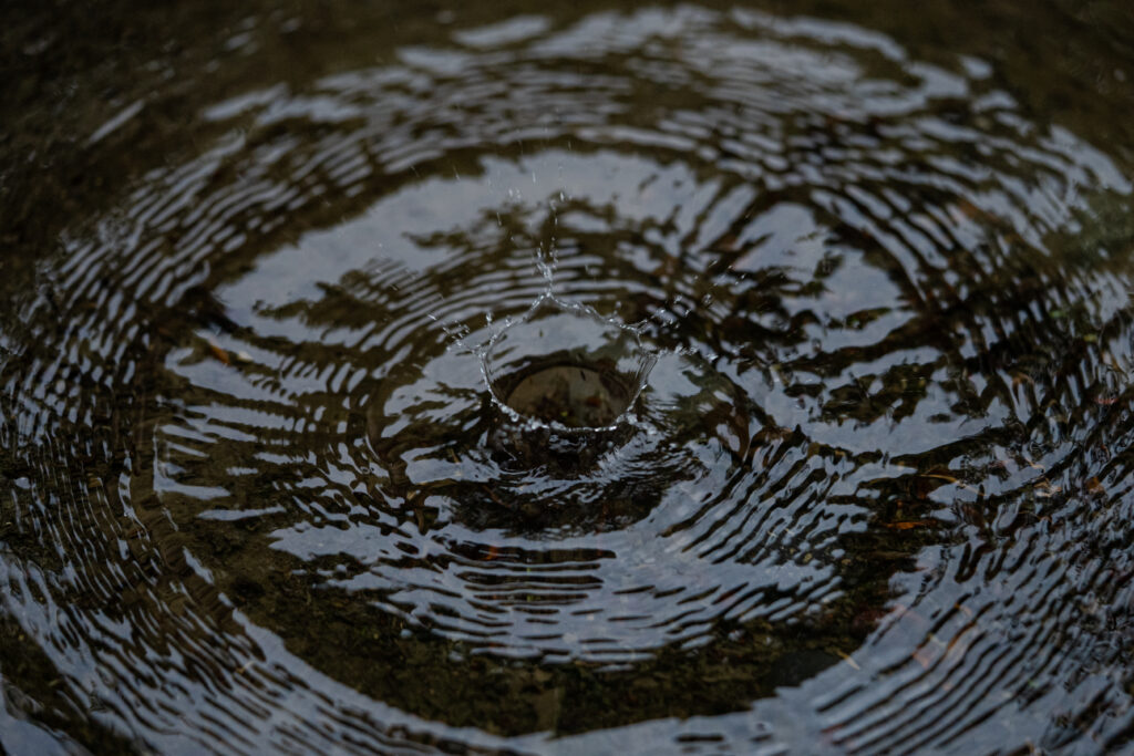 雨の水紋