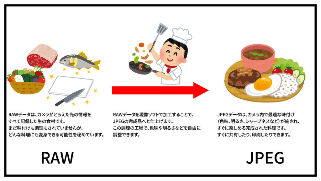 RAWとJPEGを説明した概念図