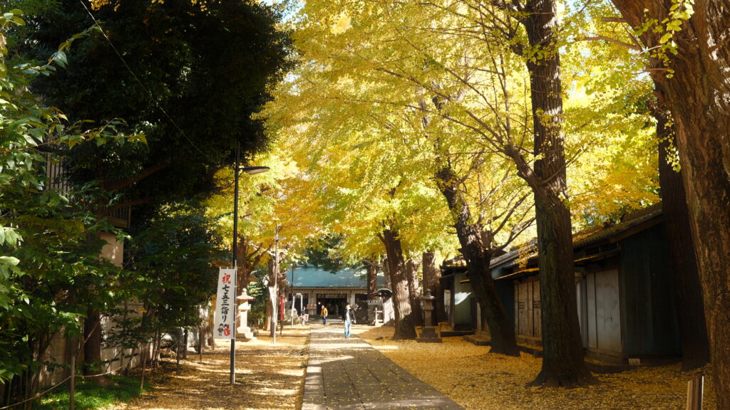 イチョウがきれいな神社