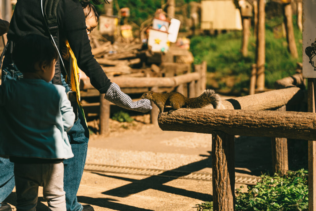 リスとのふれあいのシーン
