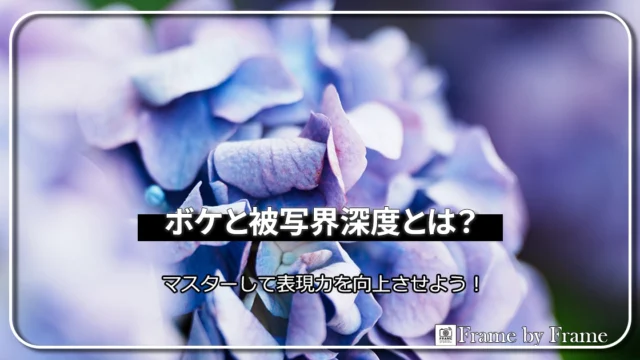 アイキャッチ