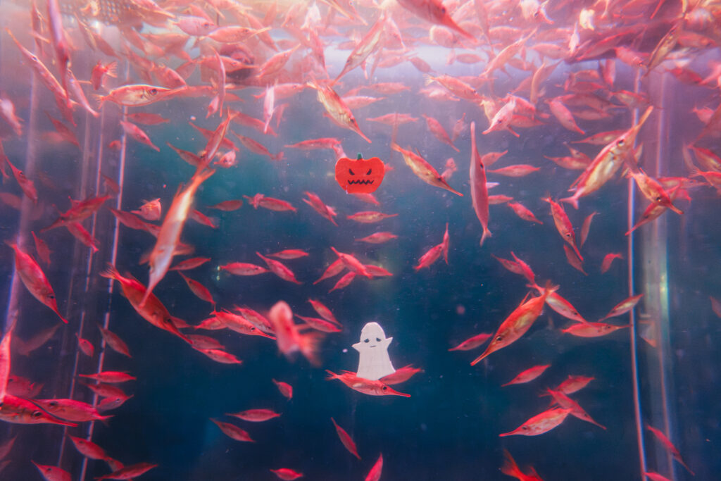 ハロウィン気分の水槽