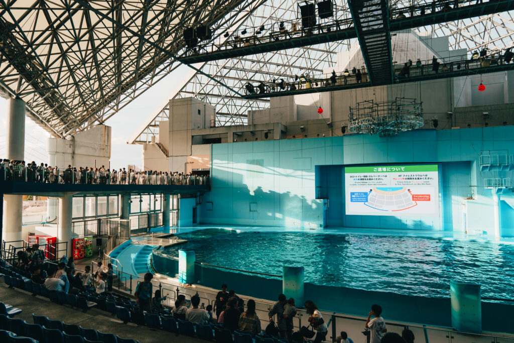 イルカショーの全体感