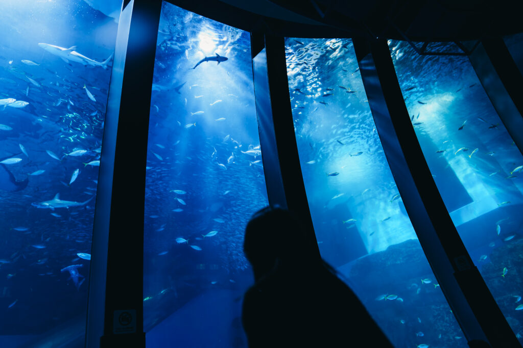 女性とサメのシルエット