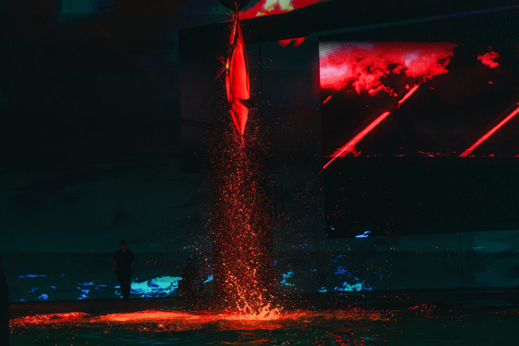 イルカのジャンプ