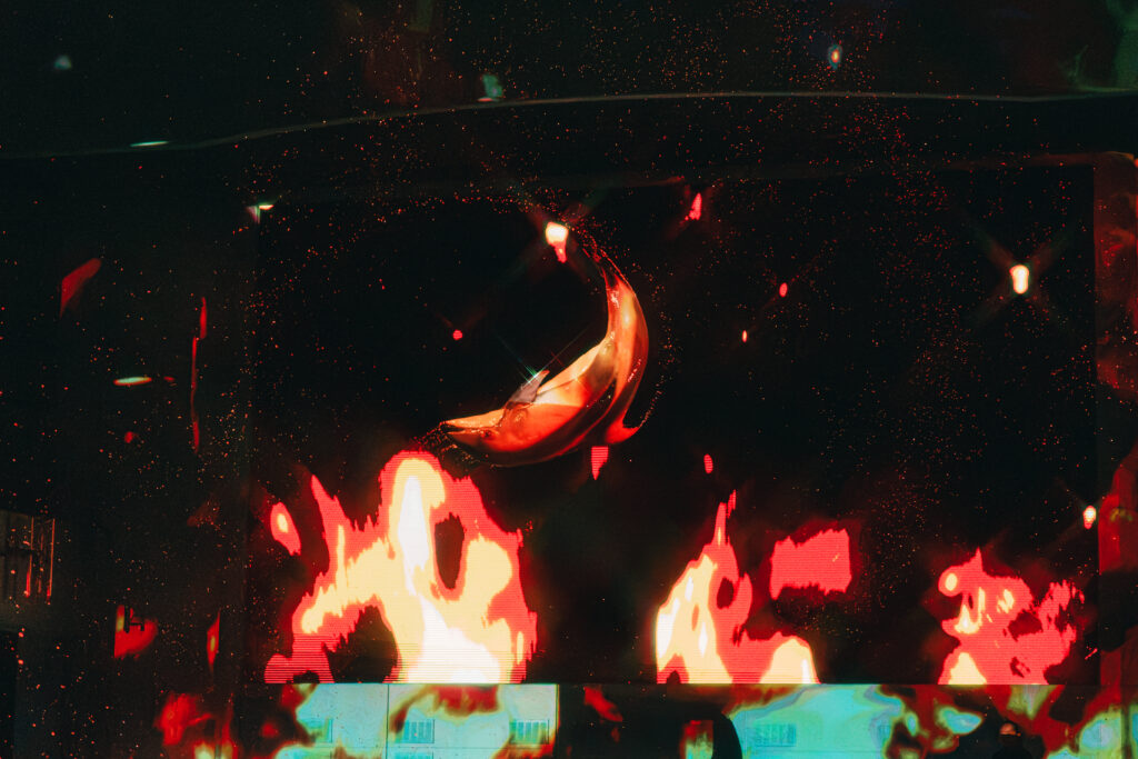 イルカのジャンプ