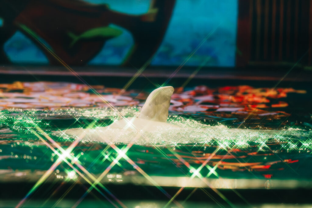 シロイルカのひれ