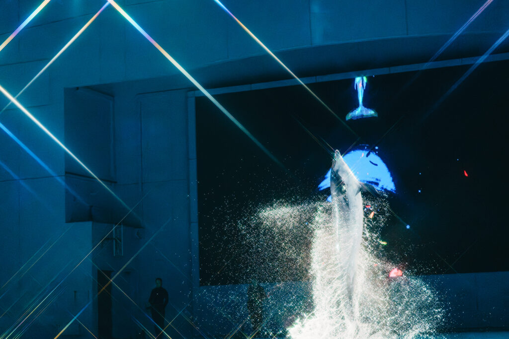 イルカのジャンプ