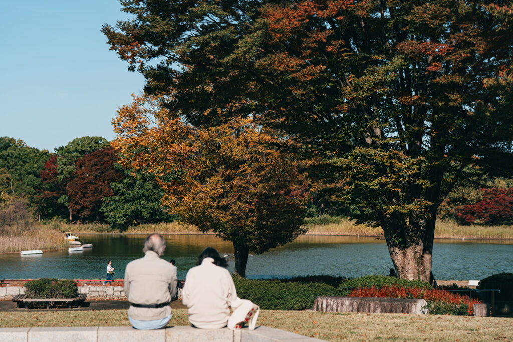 昭和記念公園の水鳥の池
