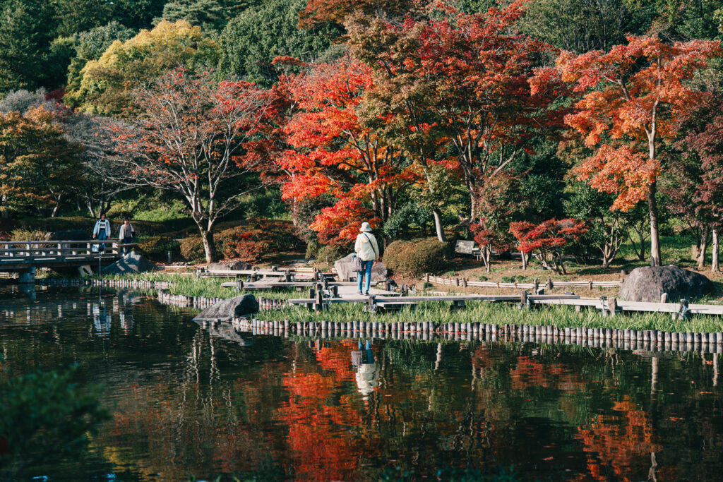 池に反射する紅葉