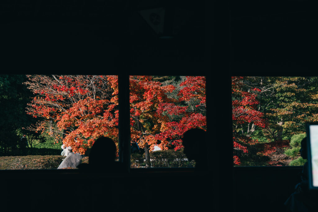 小屋から望む紅葉