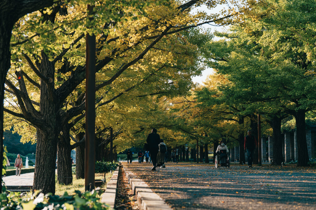 昭和記念公園のイチョウ並木