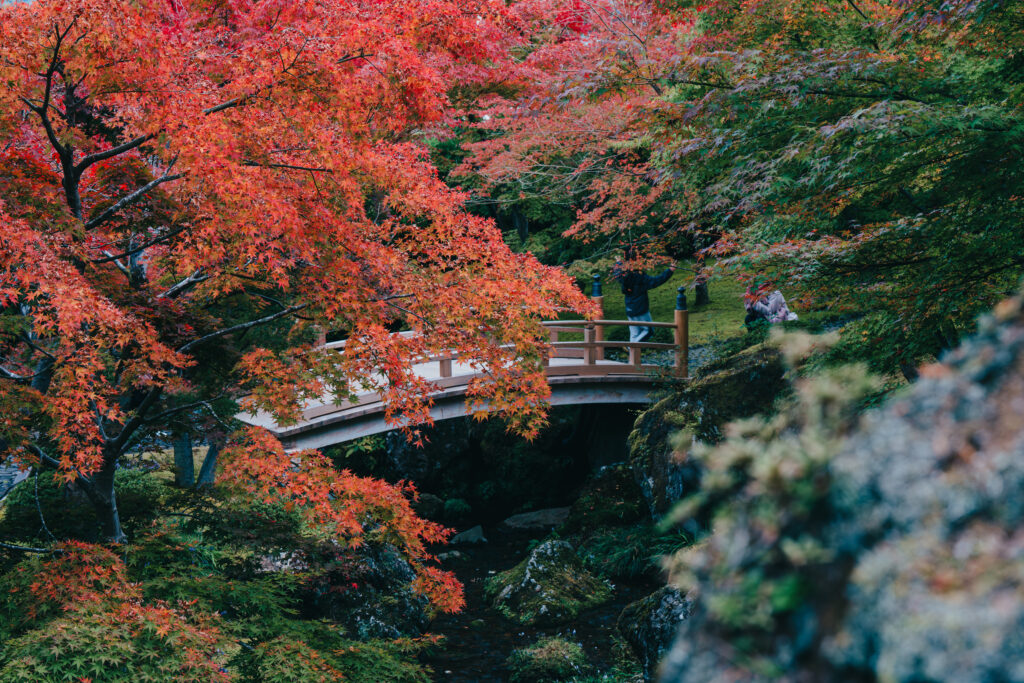 紅葉と橋