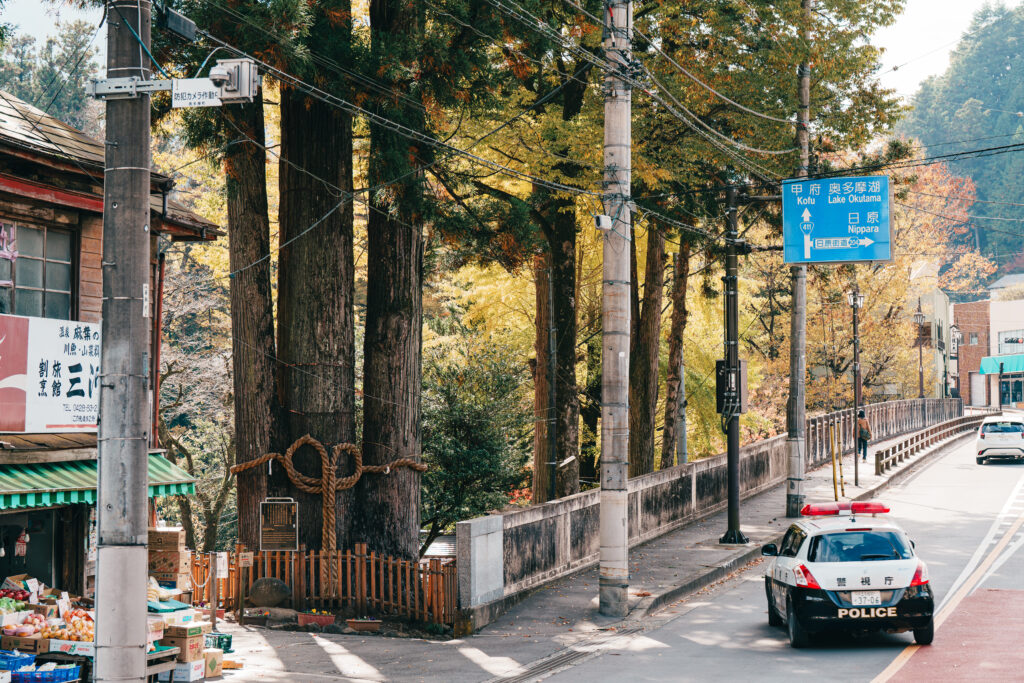 奥氷川神社の紅葉