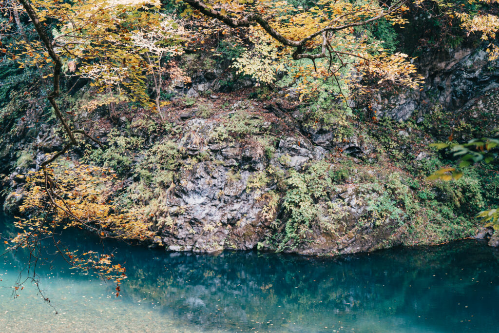 澄んだ川と紅葉