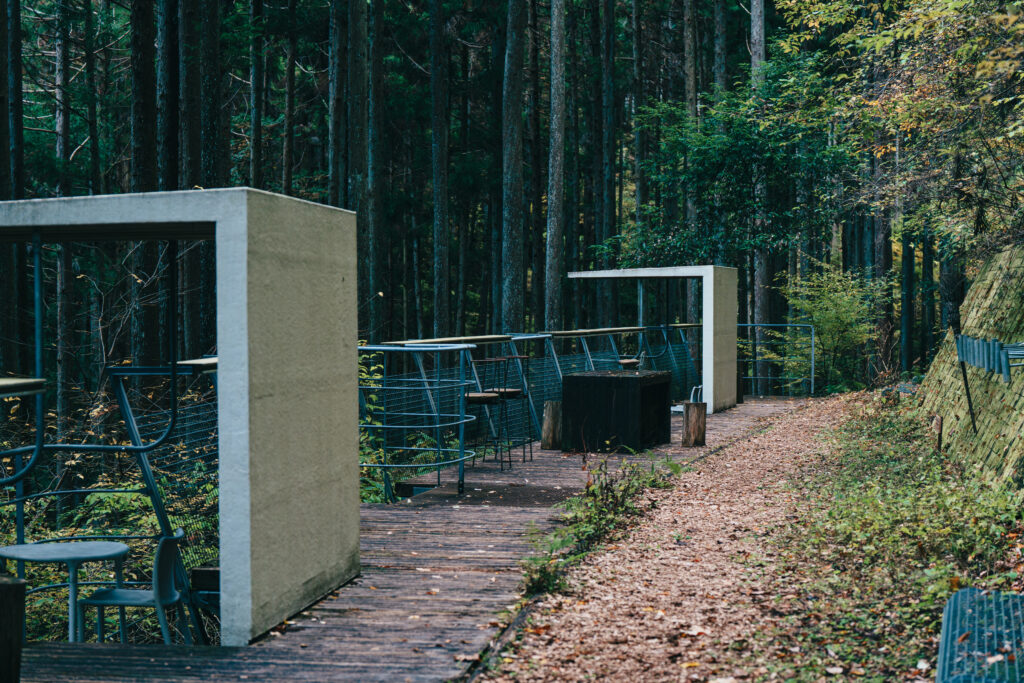 森林浴用のベンチ