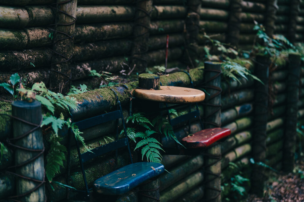 山中の森林浴ベンチ