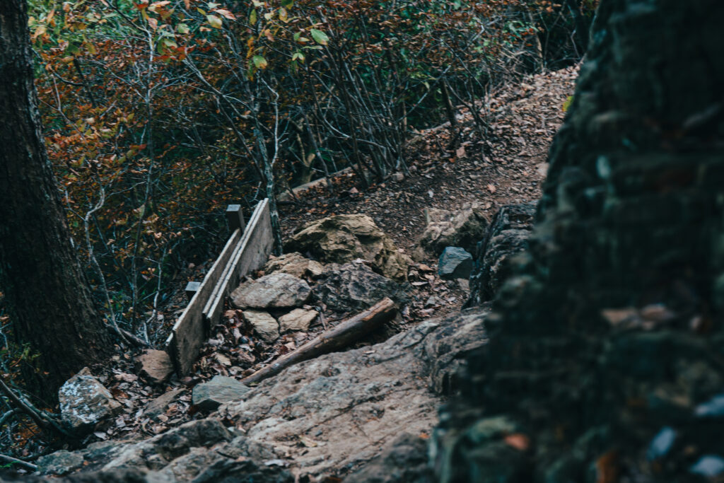 2m近い高さの崖を登る