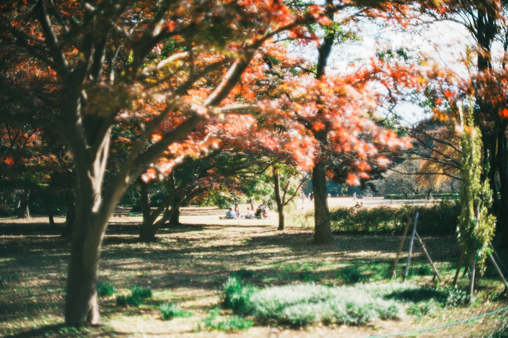 オールドレンズで撮影した紅葉