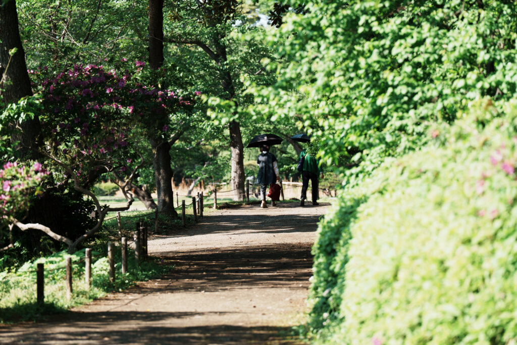三渓園の中の道