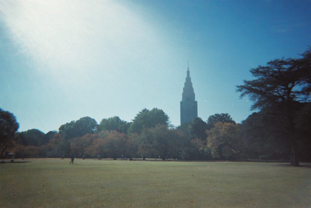 新宿のタワーと木々