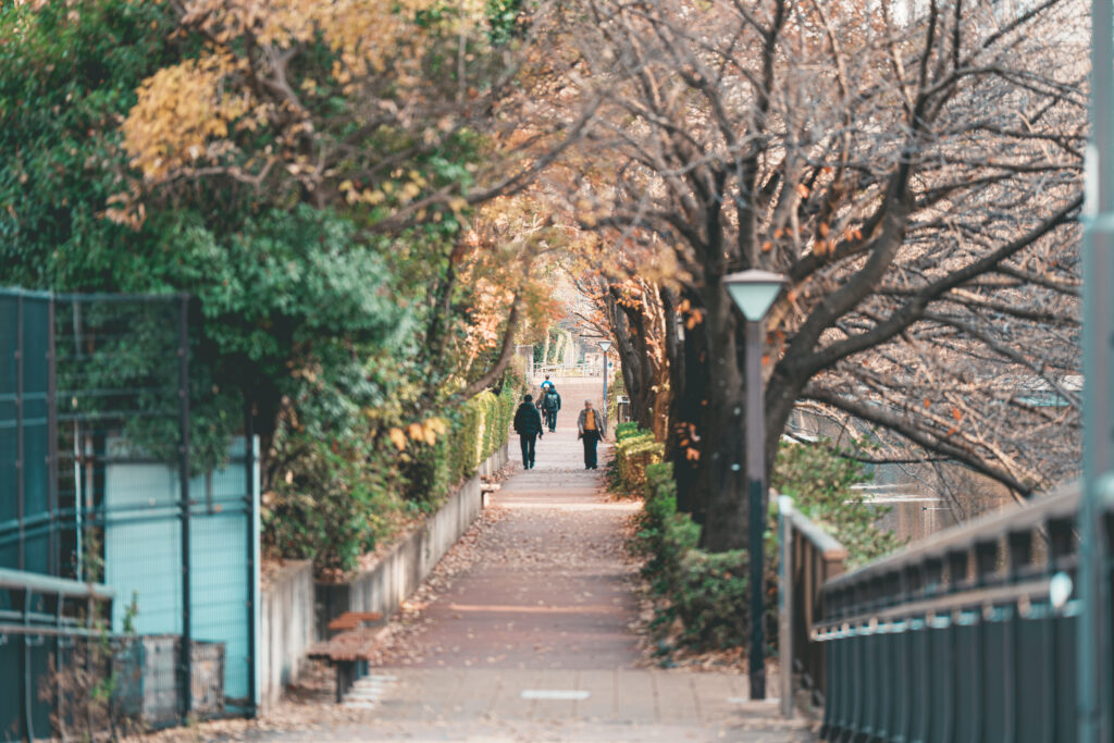 目黒沿いの遊歩道