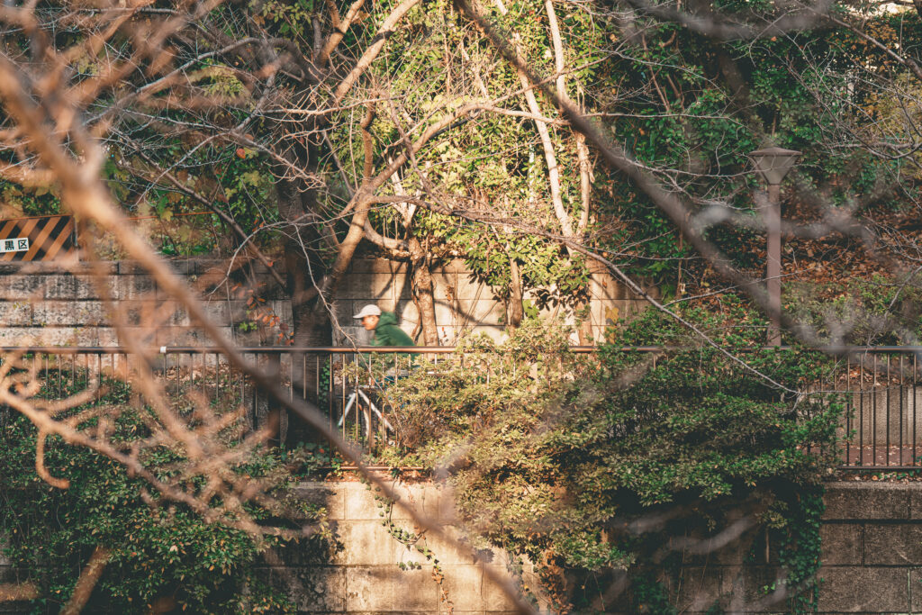 目黒川沿いの遊歩道で自転車に乗る男性